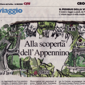 31QNsullaviafrancigena