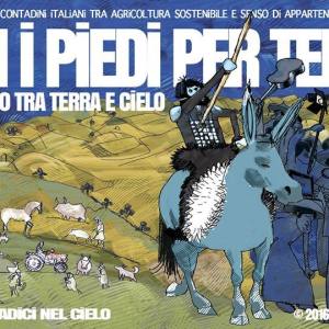 16conipiediperterra